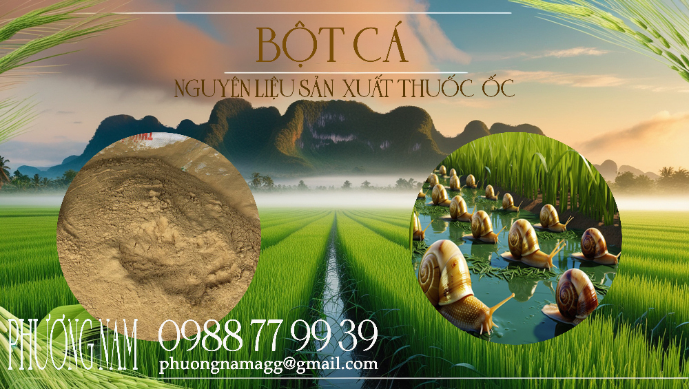 BỘT CÁ – nguyên liệu sản xuất Thuốc Ốc